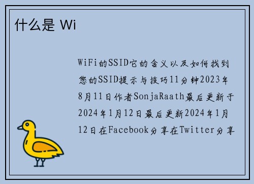 什么是 Wi
